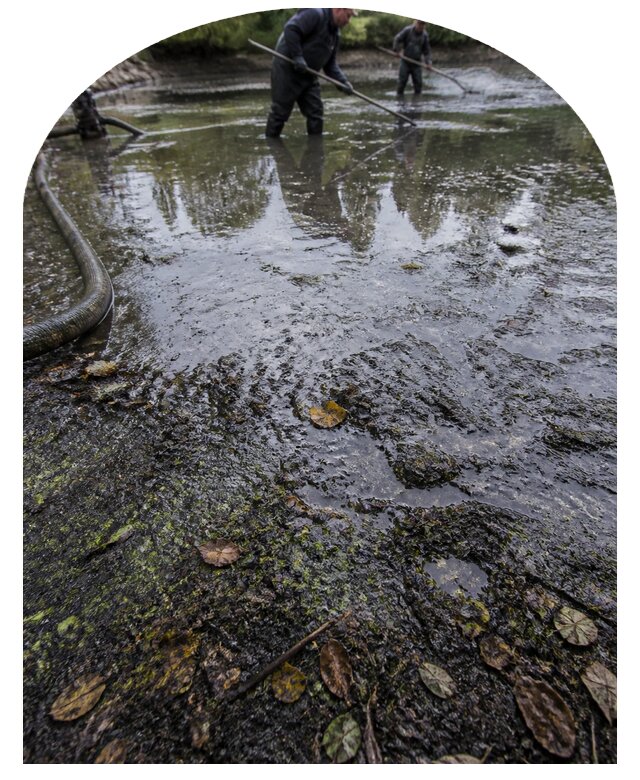 Очистка пруда в Нерюнгри от ила мусора и водорослей с вывозом